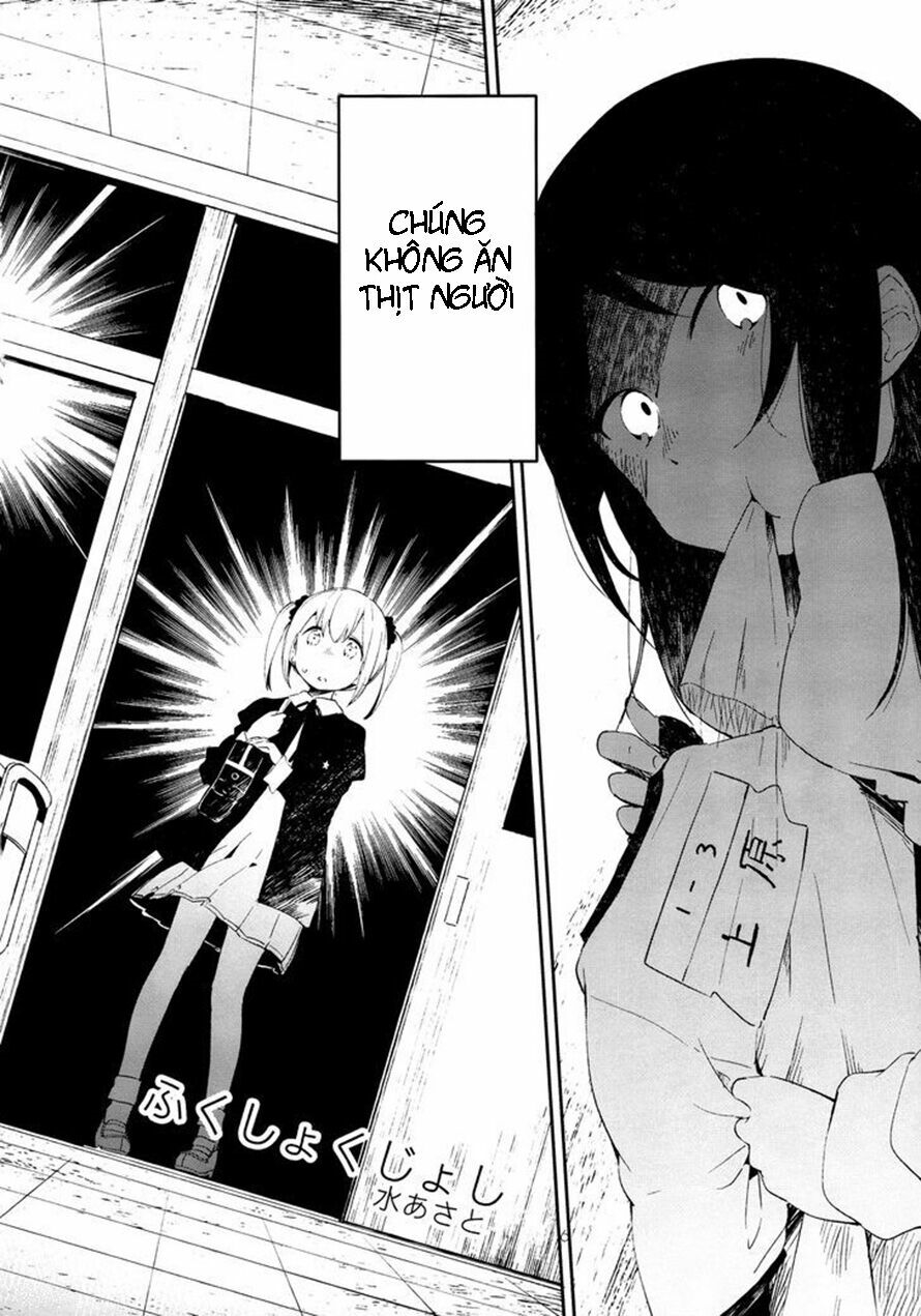 Chapter 19