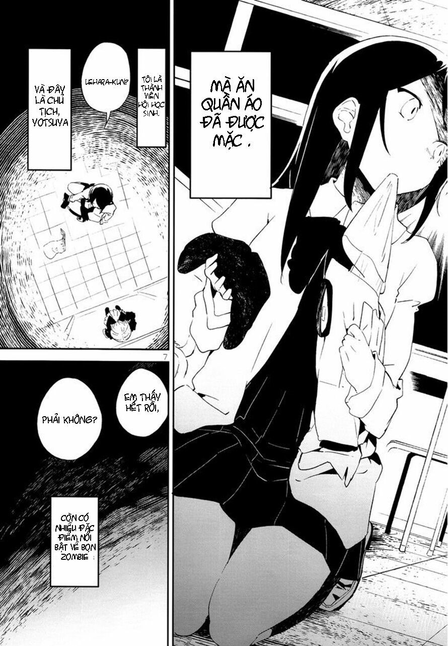 Chapter 19