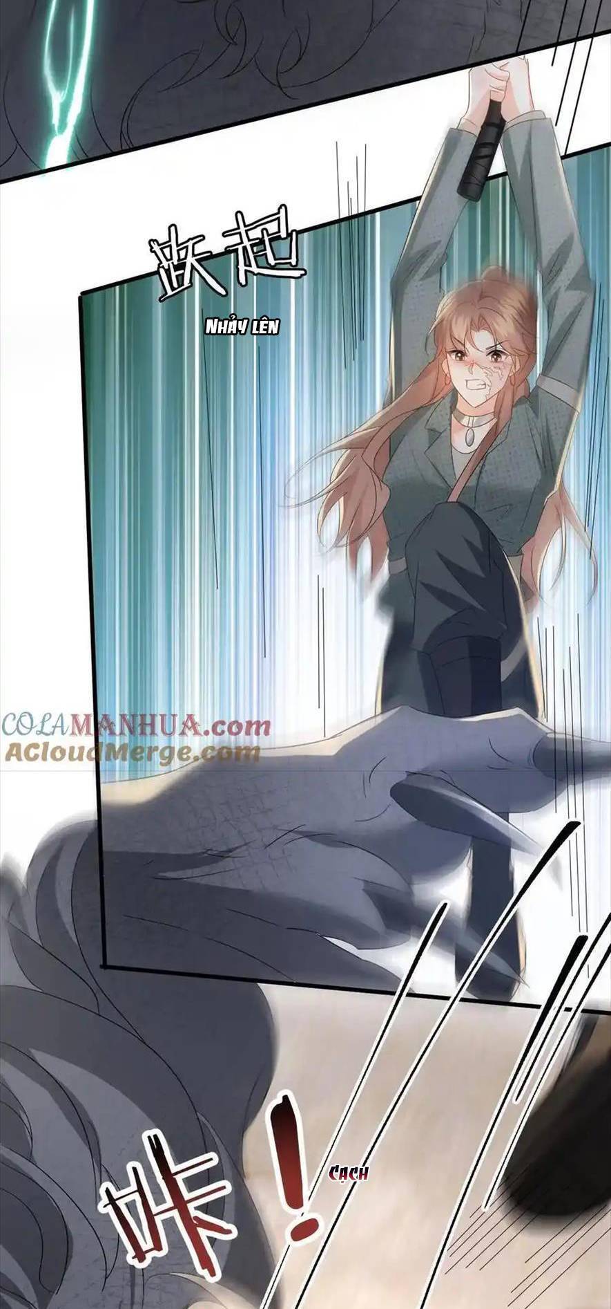 Chapter 184