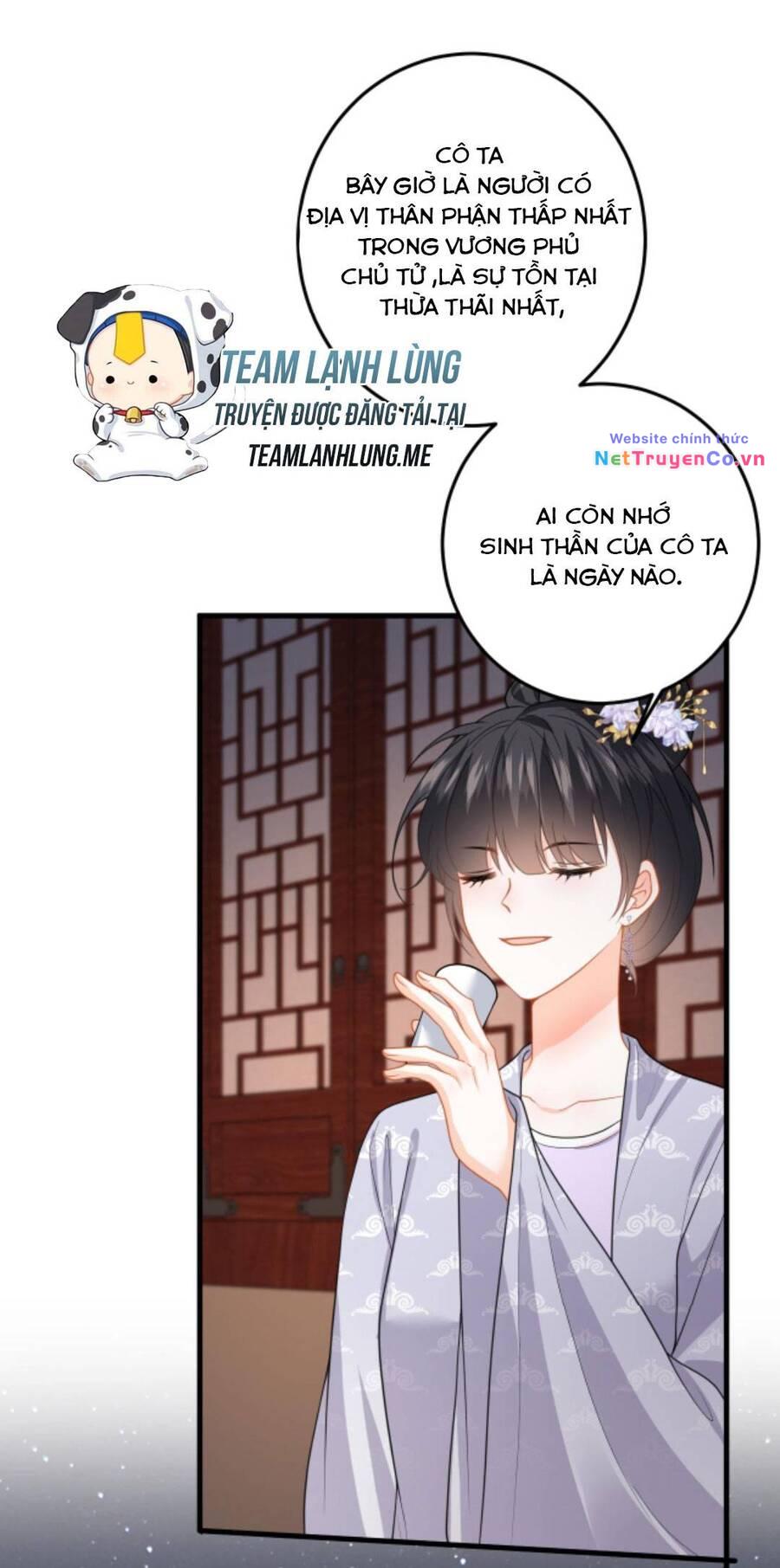 Chapter 95