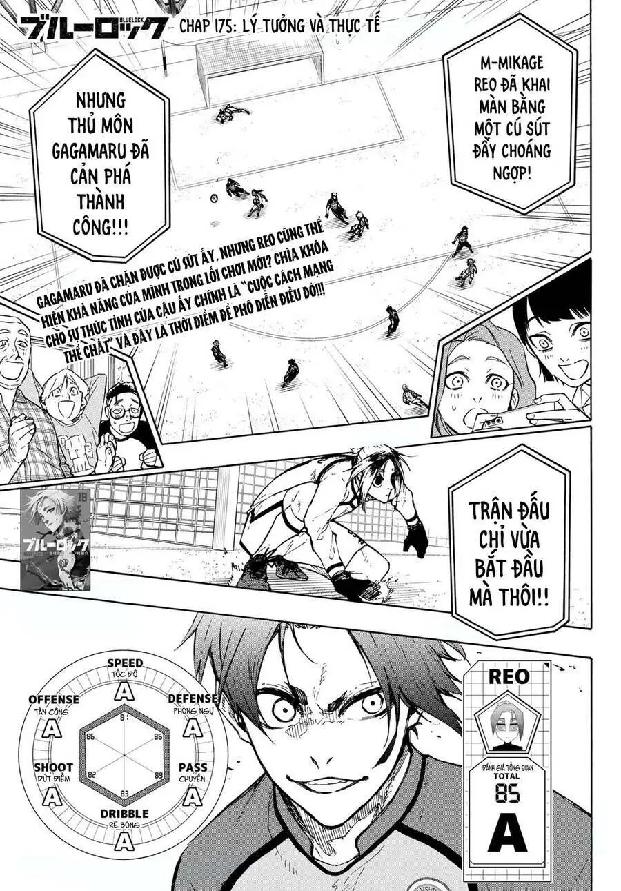 Chapter 175