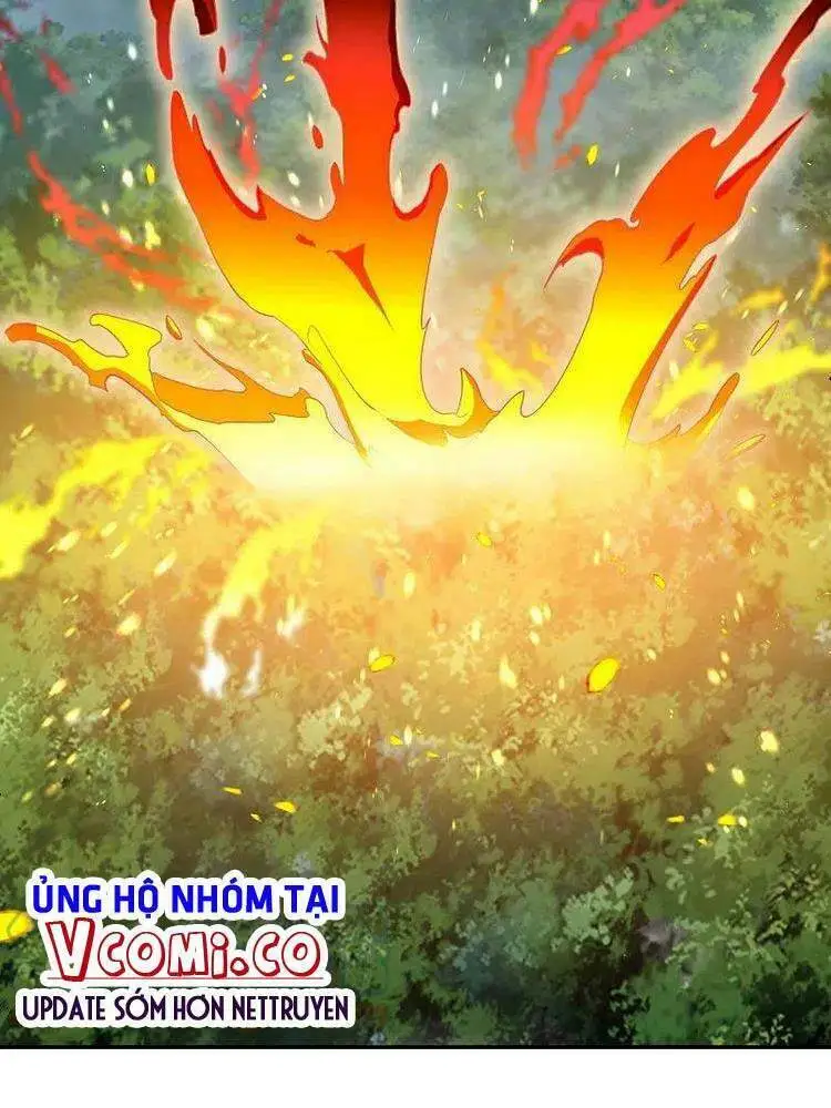 Chapter 412