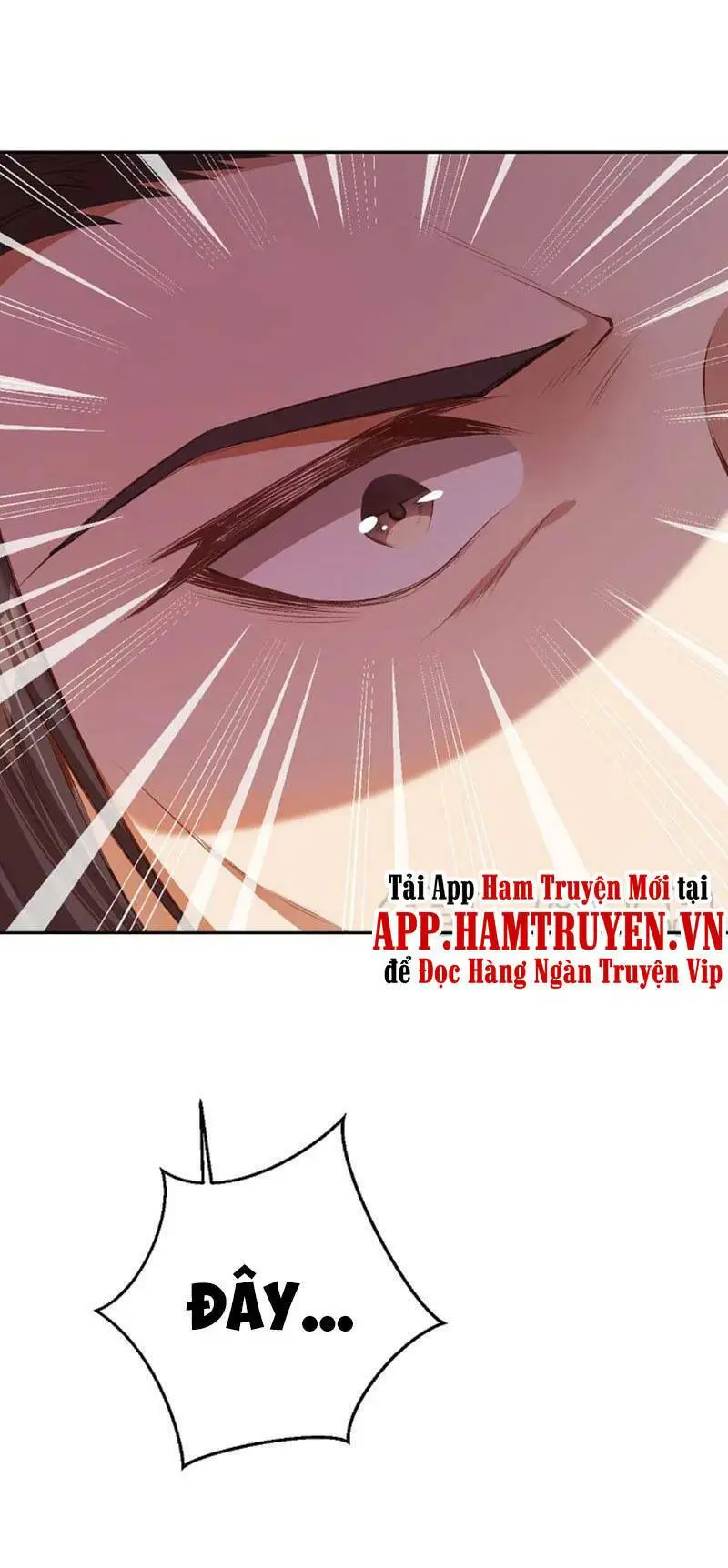 Chapter 366