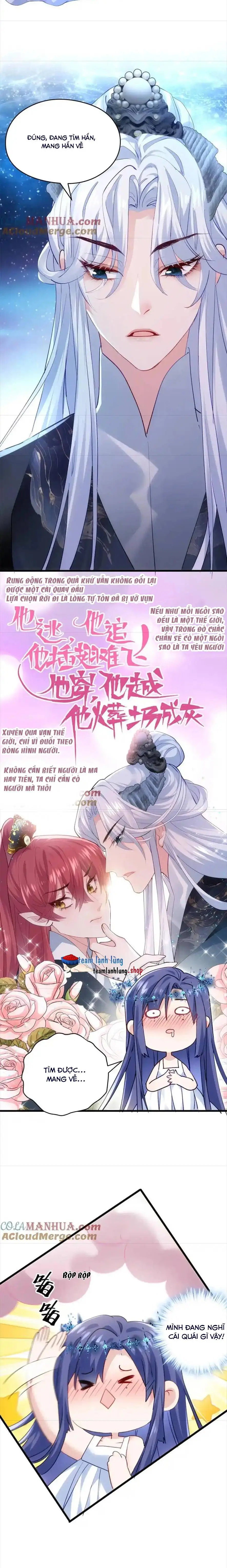 Chapter 46