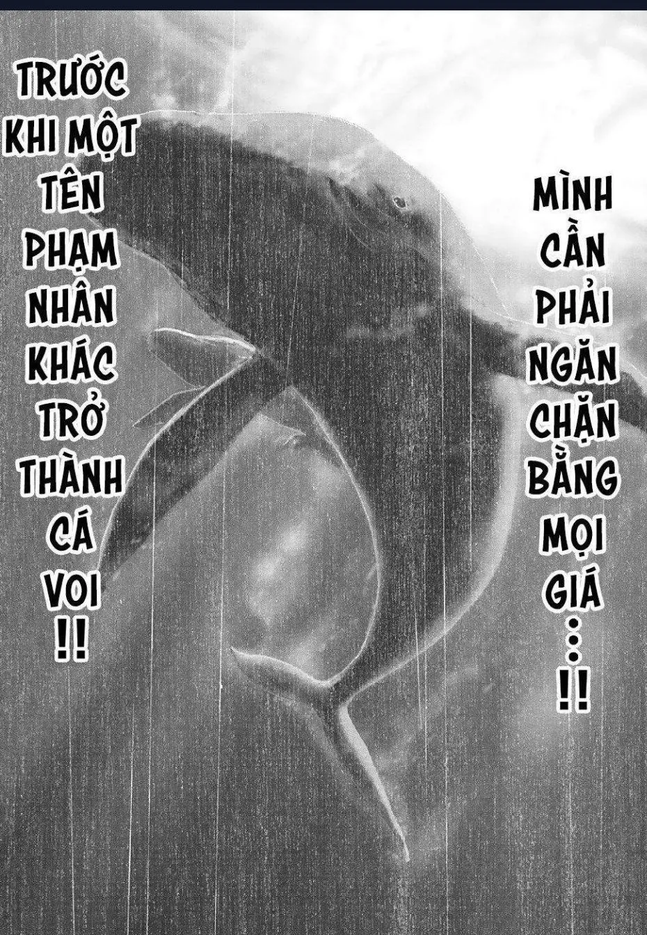 Chapter 87