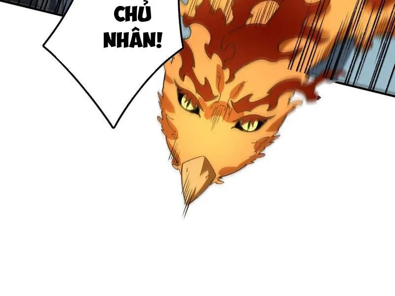 Chapter 91