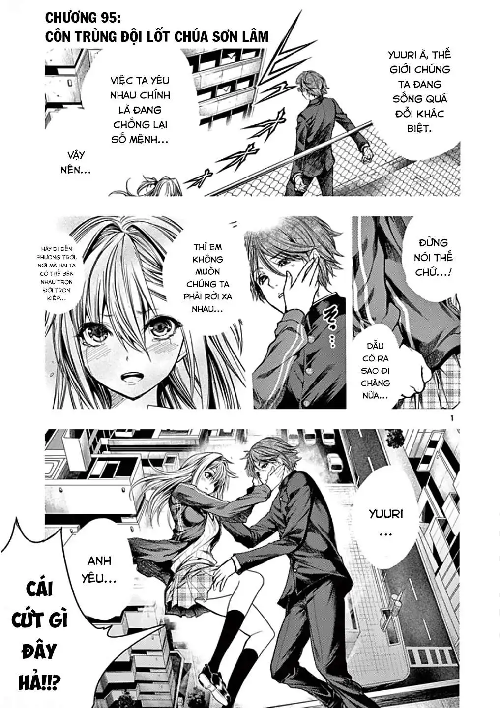 Chapter 95