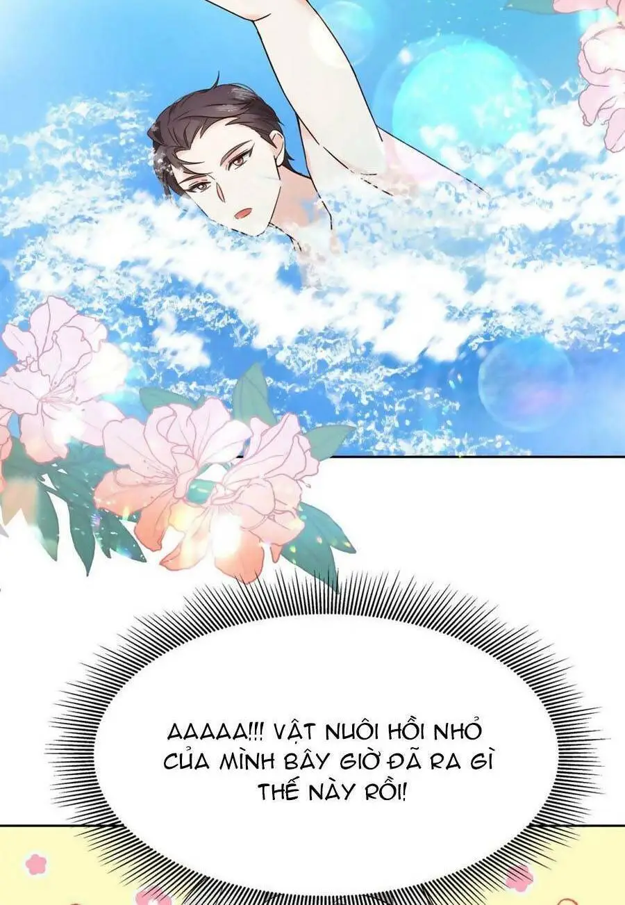 Chapter 329