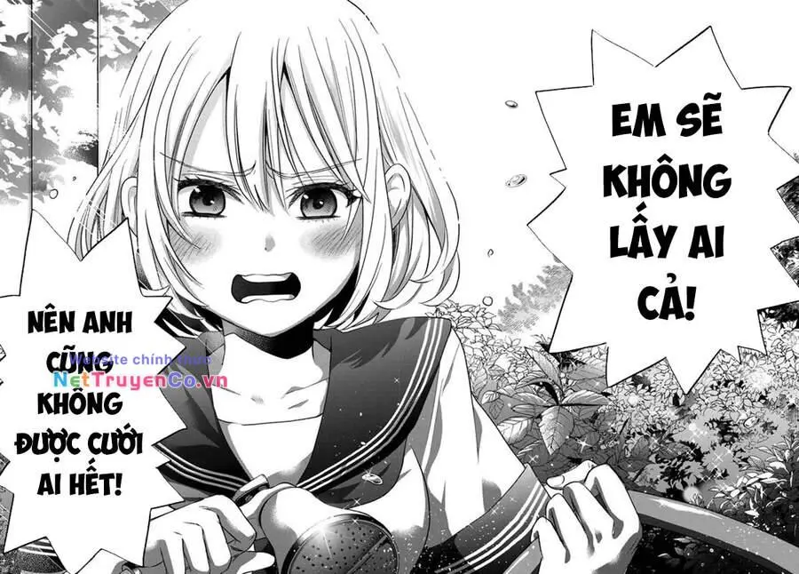 Chapter 61