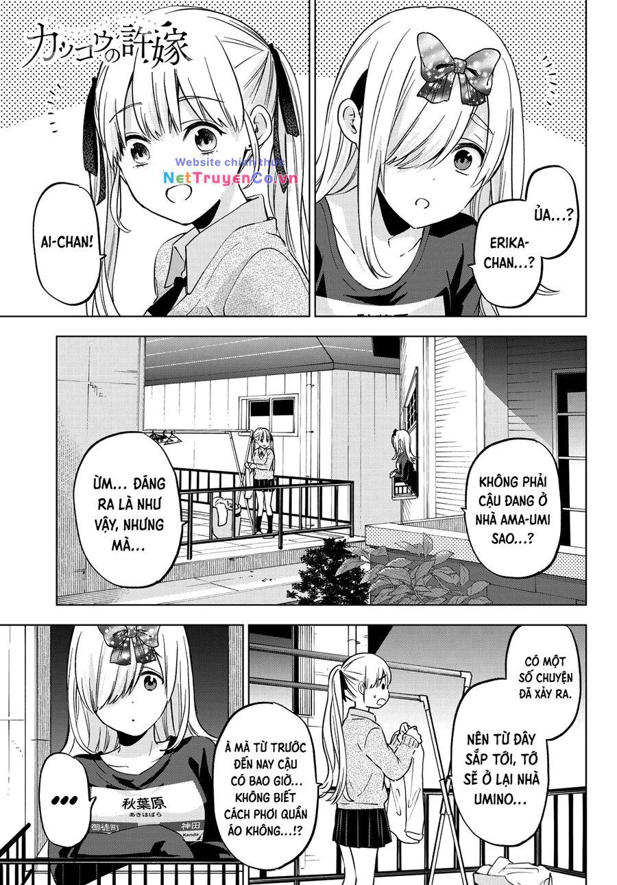 Chapter 146