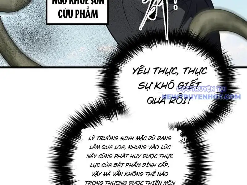 Chapter 295