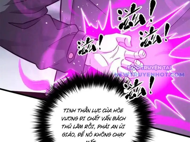 Chapter 294