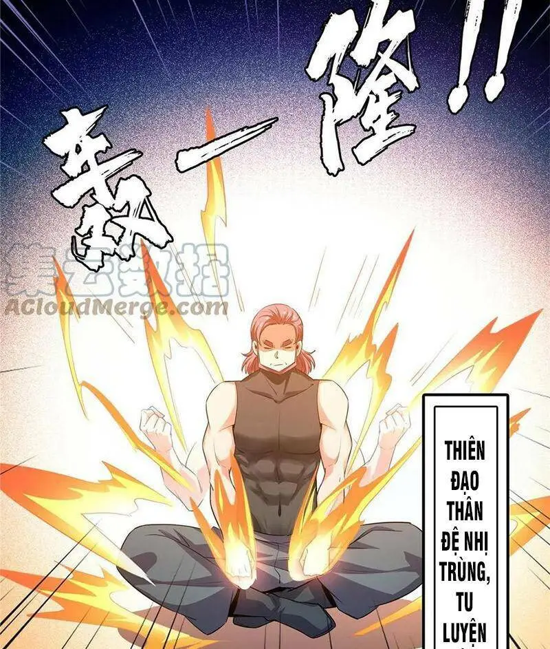 Chapter 224