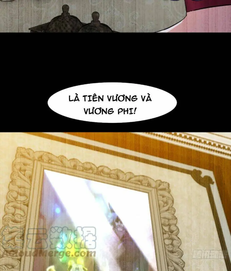Chapter 351