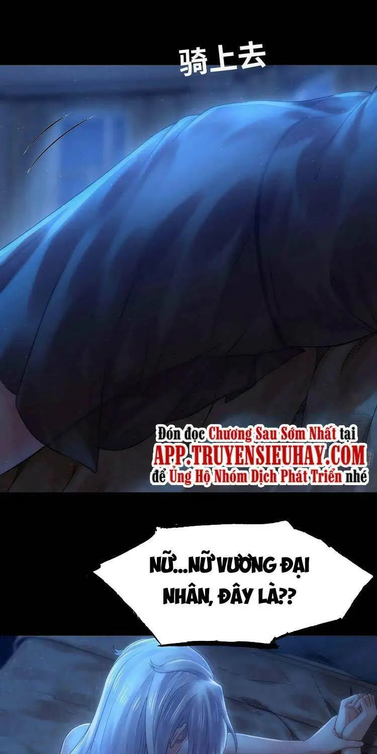 Chapter 305