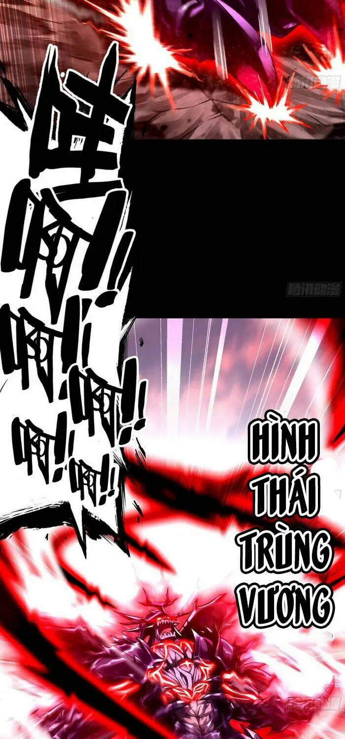 Chapter 262