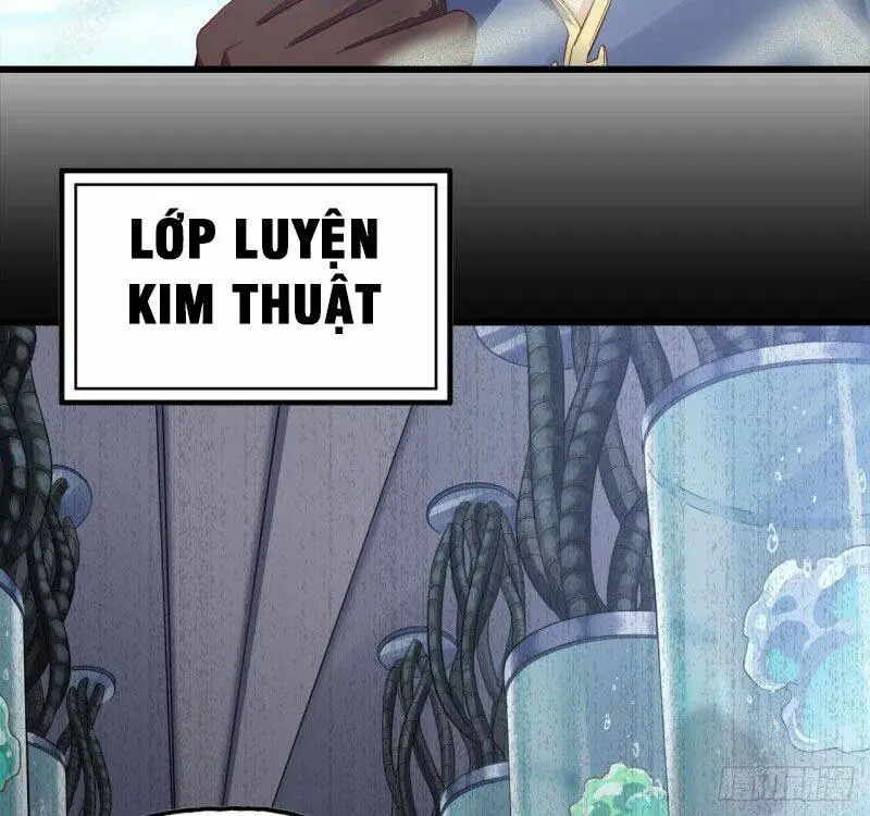 Chapter 209