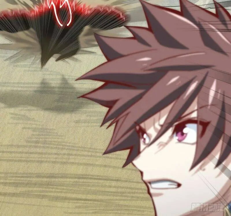 Chapter 209