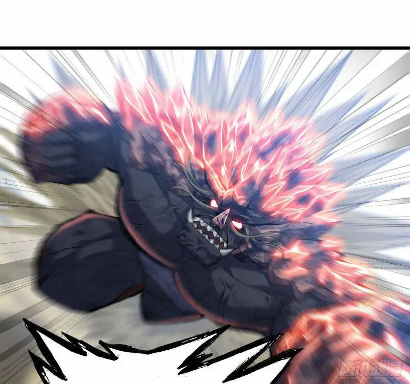Chapter 209