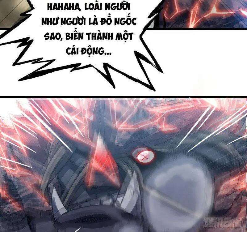 Chapter 209