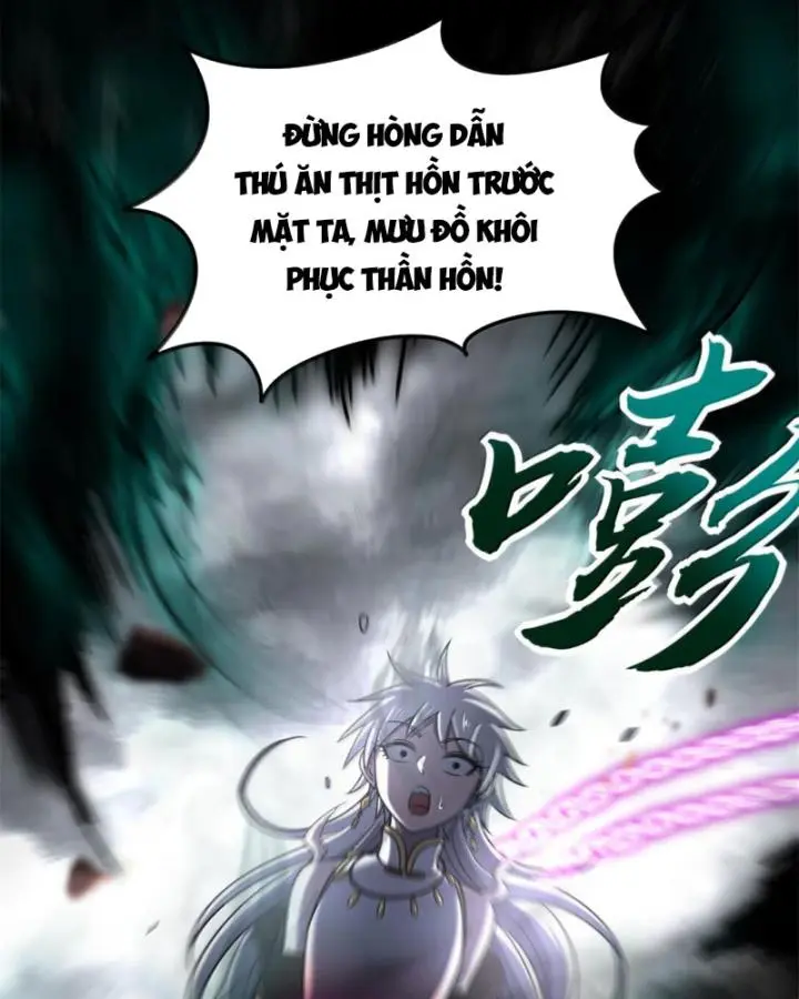 Chapter 295