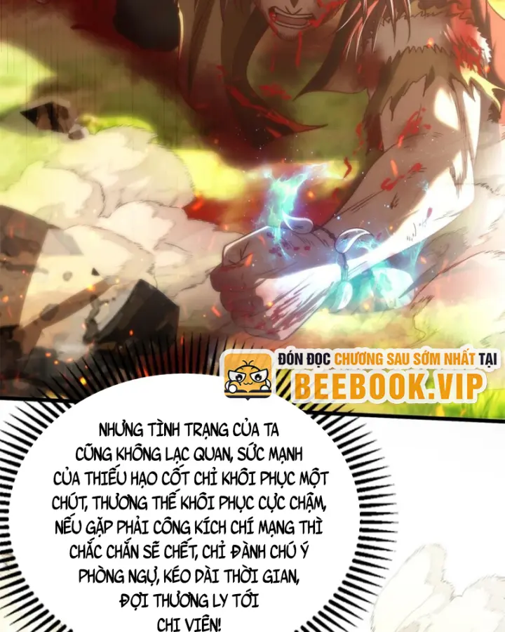 Chapter 242