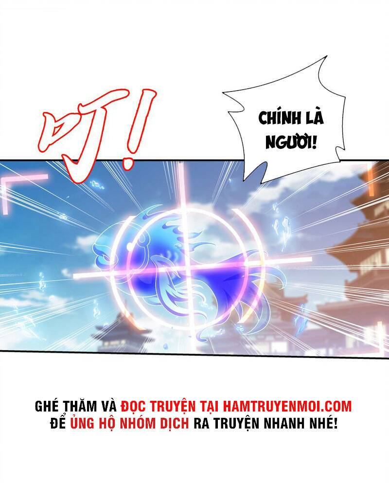 Chapter 323