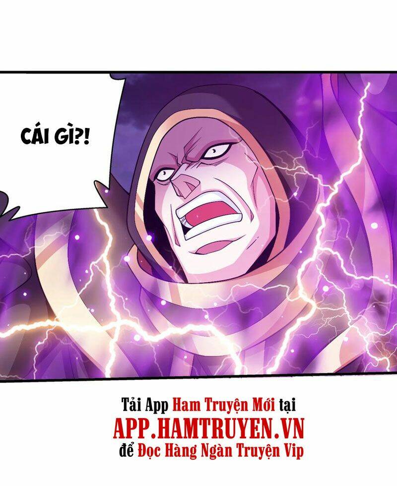 Chapter 275