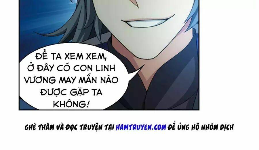 Chapter 165