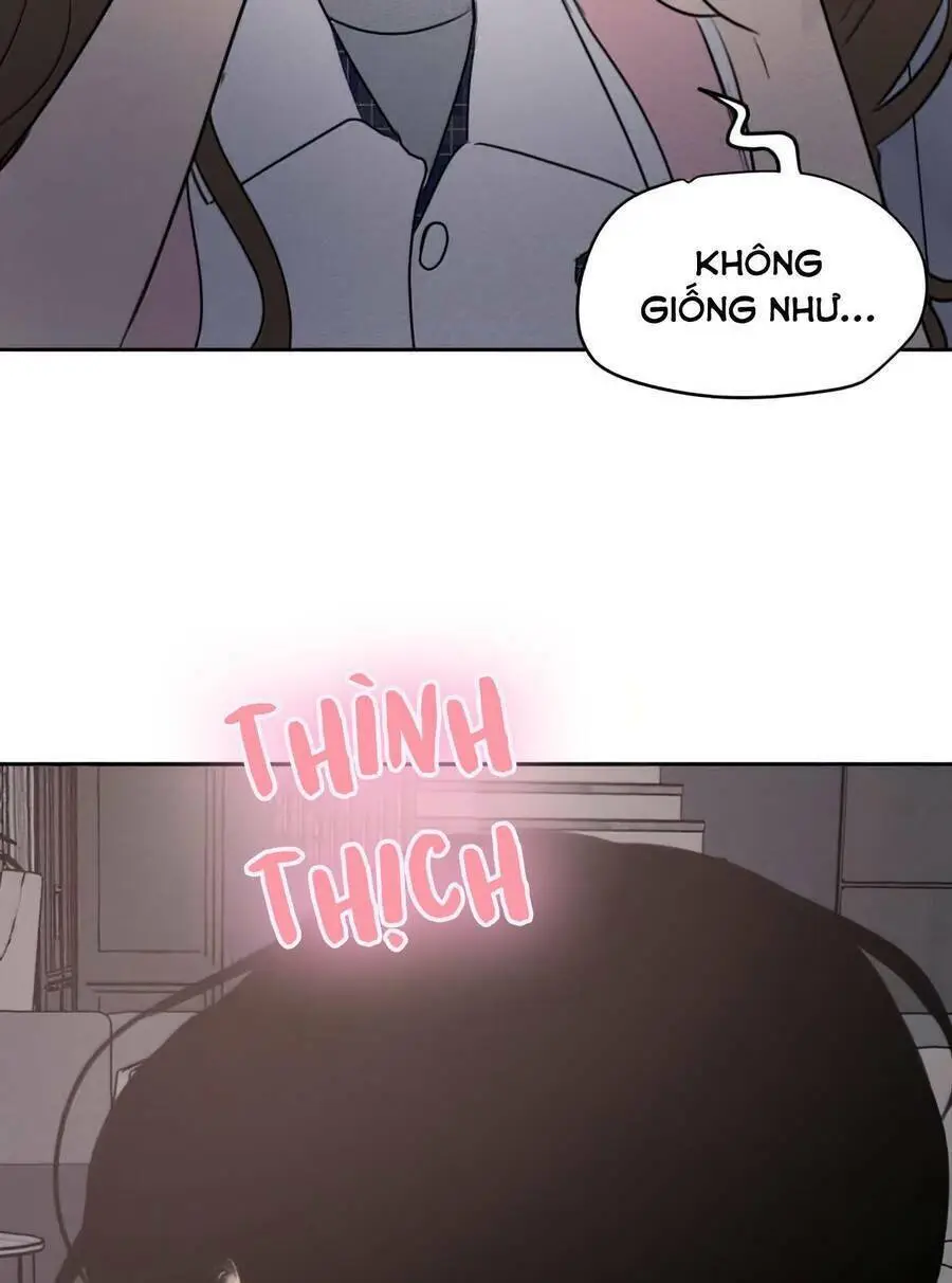 Chapter 41