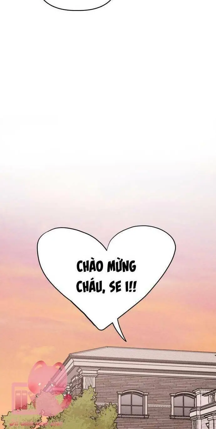 Chapter 26