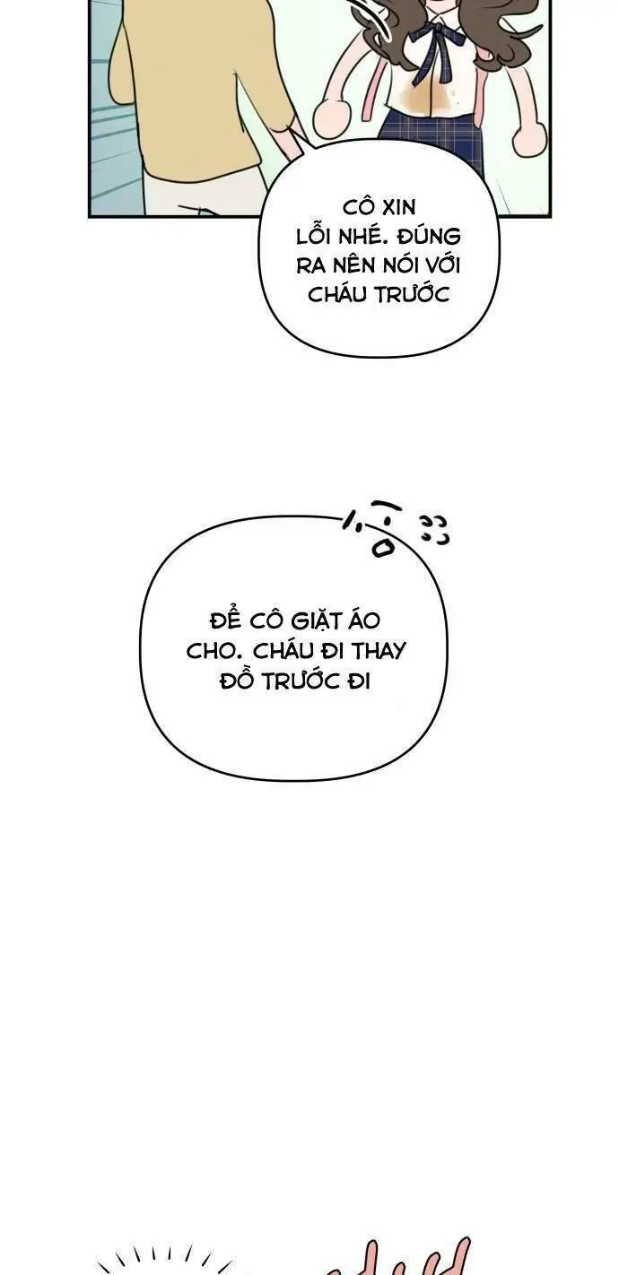 Chapter 26