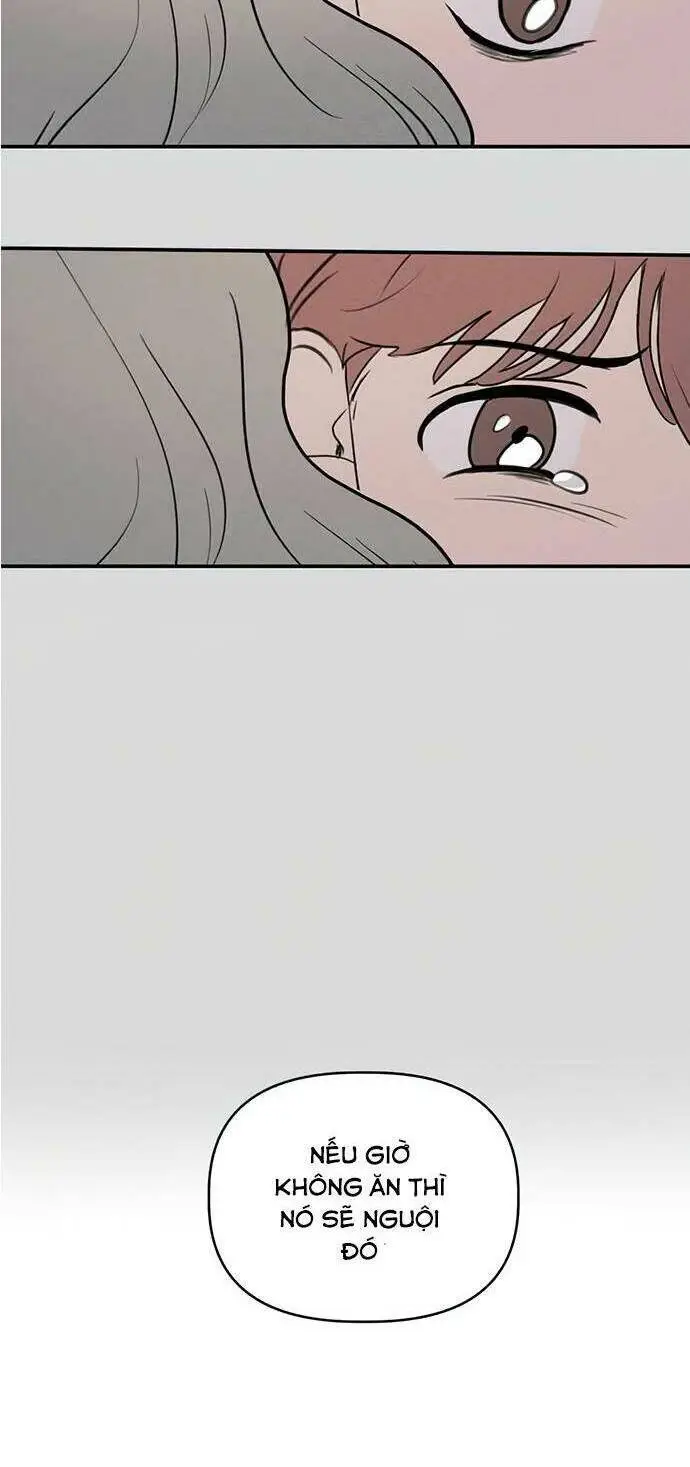 Chapter 24