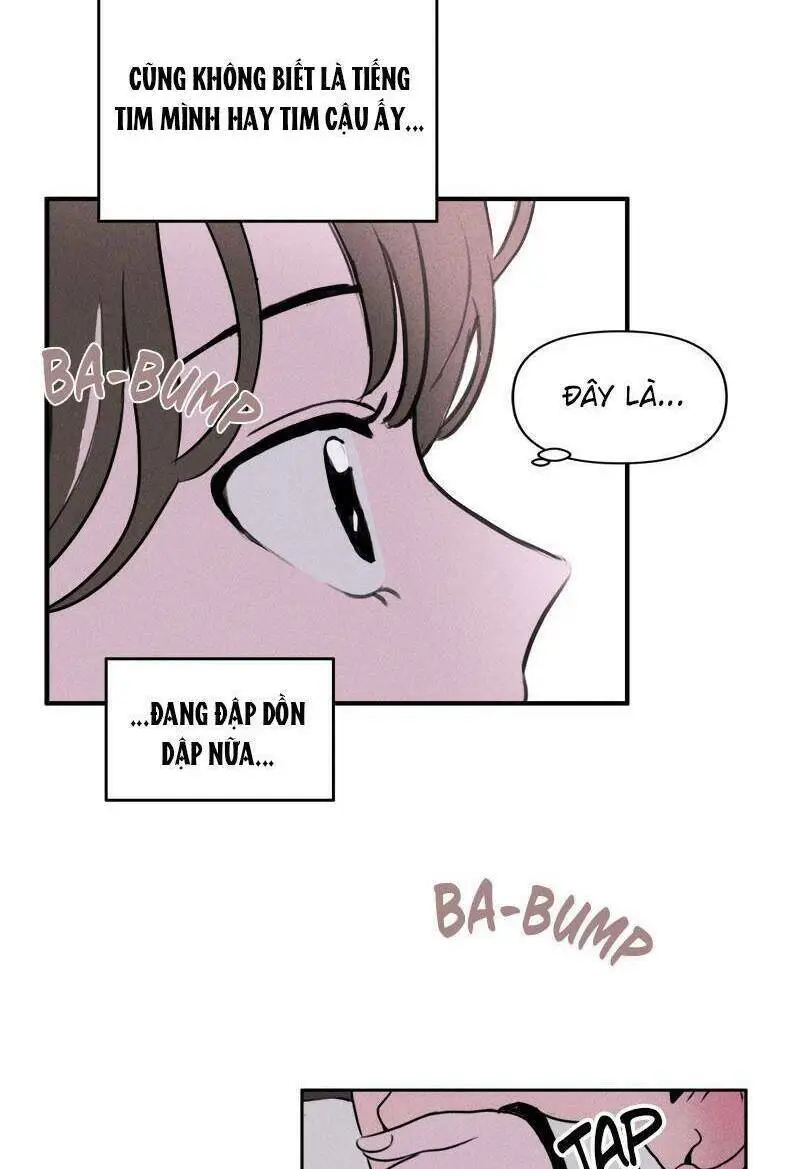 Chapter 11