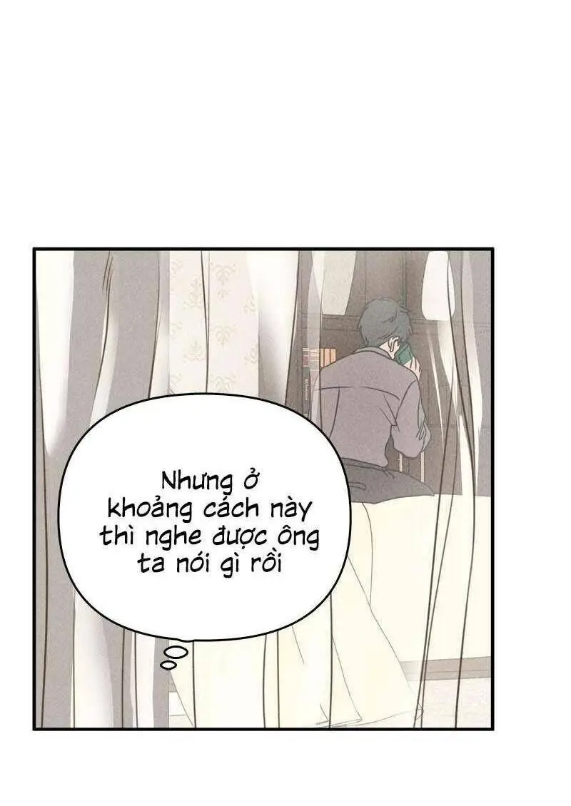 Chapter 10