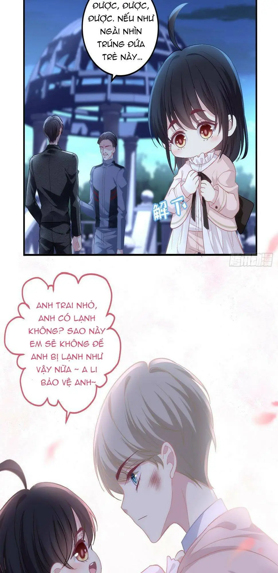 Chapter 161