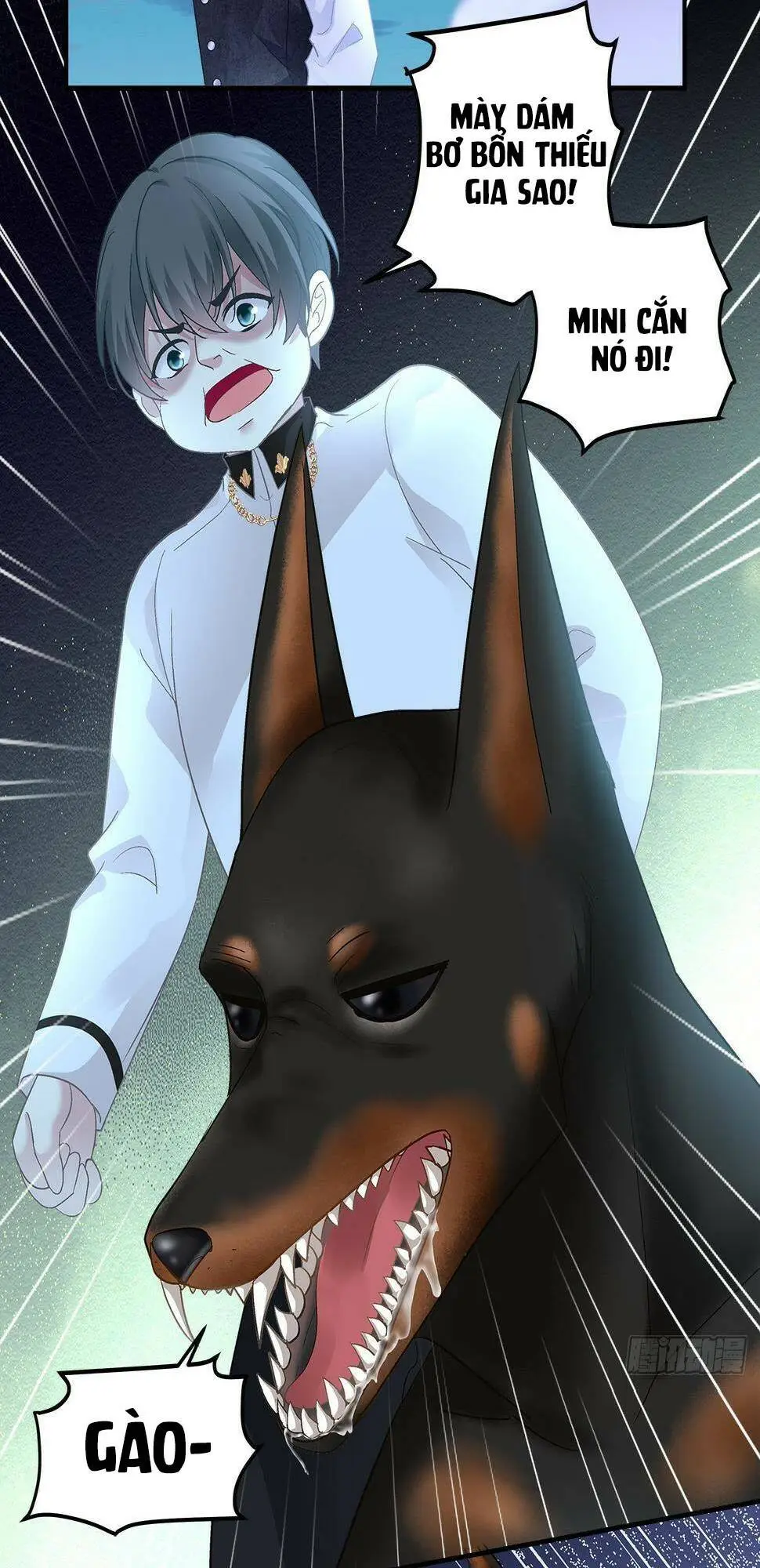 Chapter 161