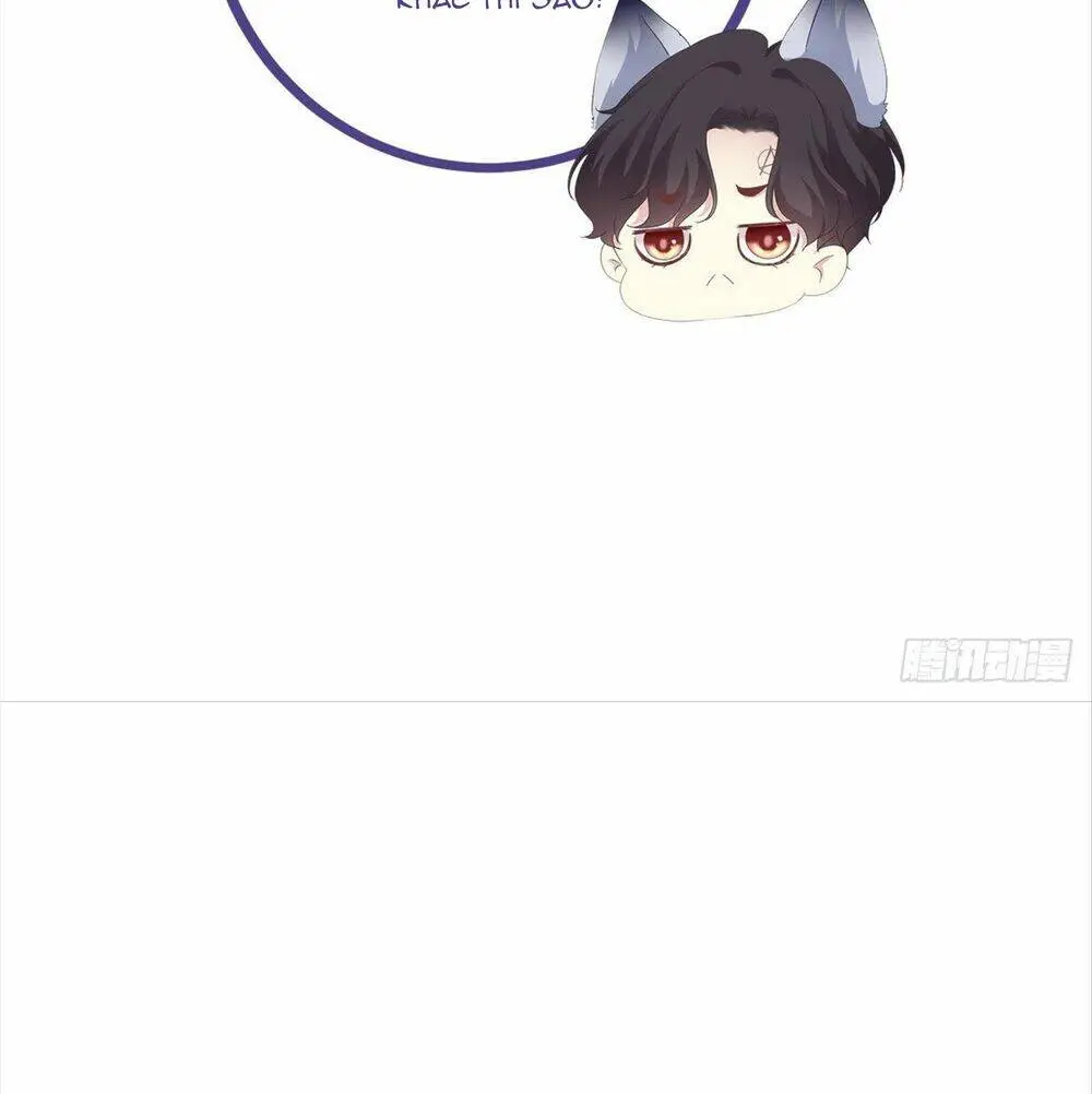 Chapter 117