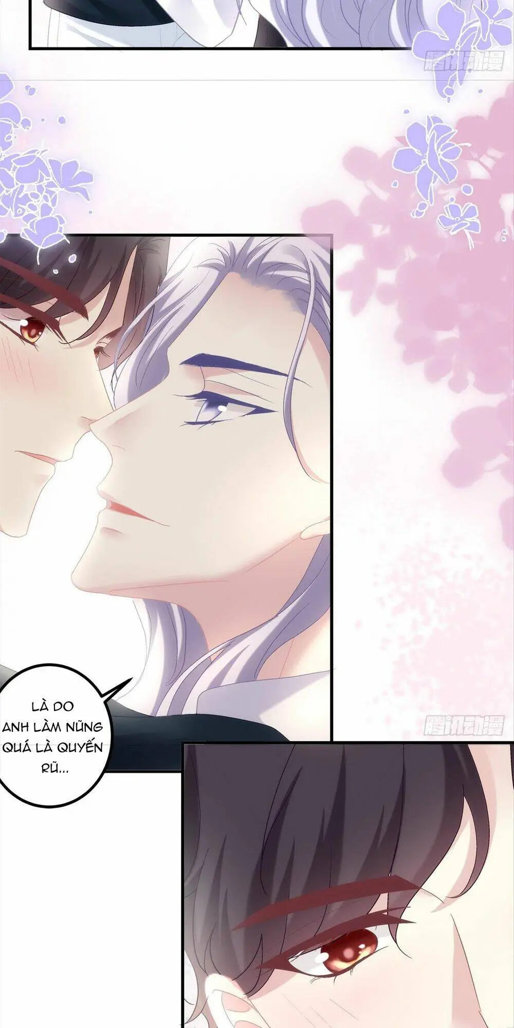 Chapter 117