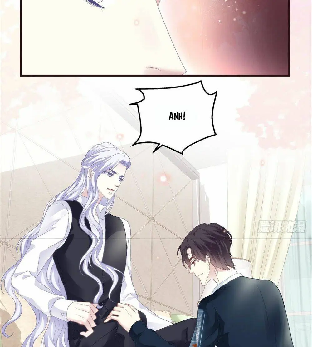 Chapter 117