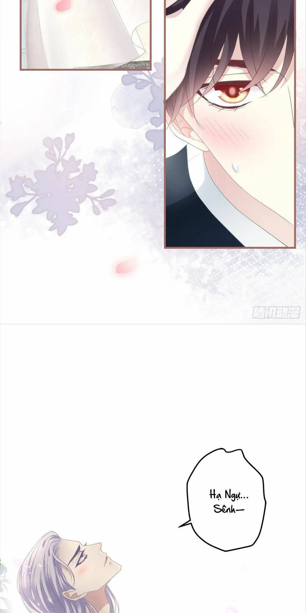 Chapter 117