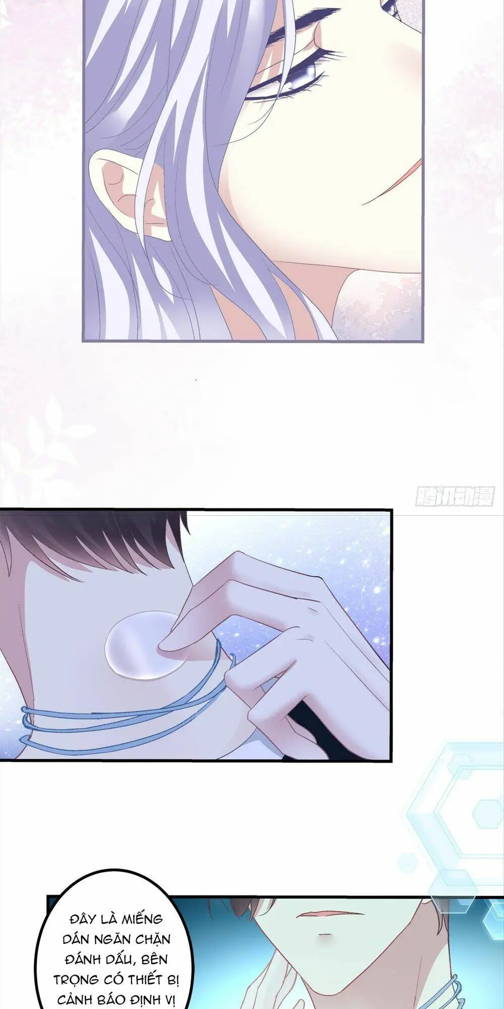 Chapter 117