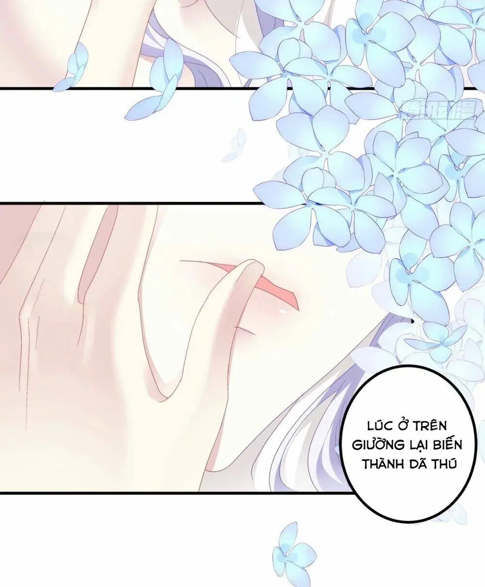 Chapter 95