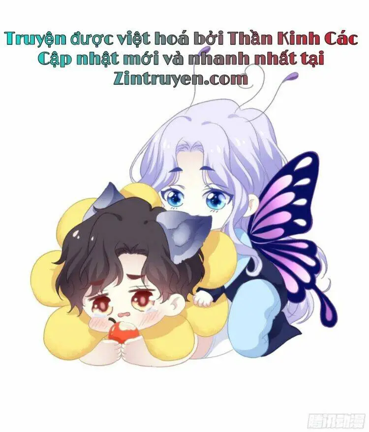 Chapter 52