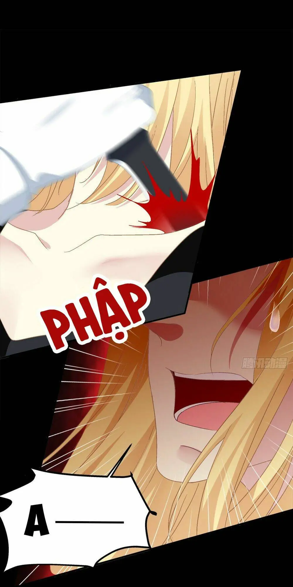 Chapter 41