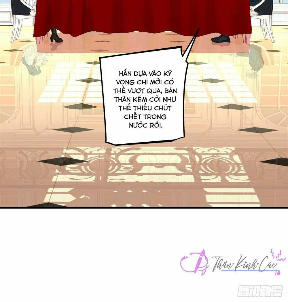Chapter 41