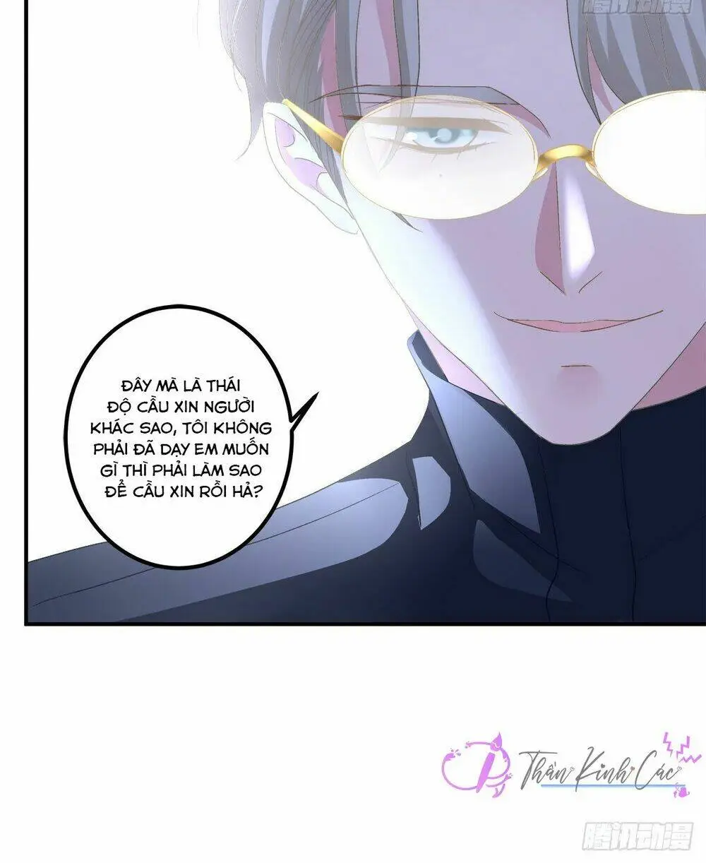 Chapter 41