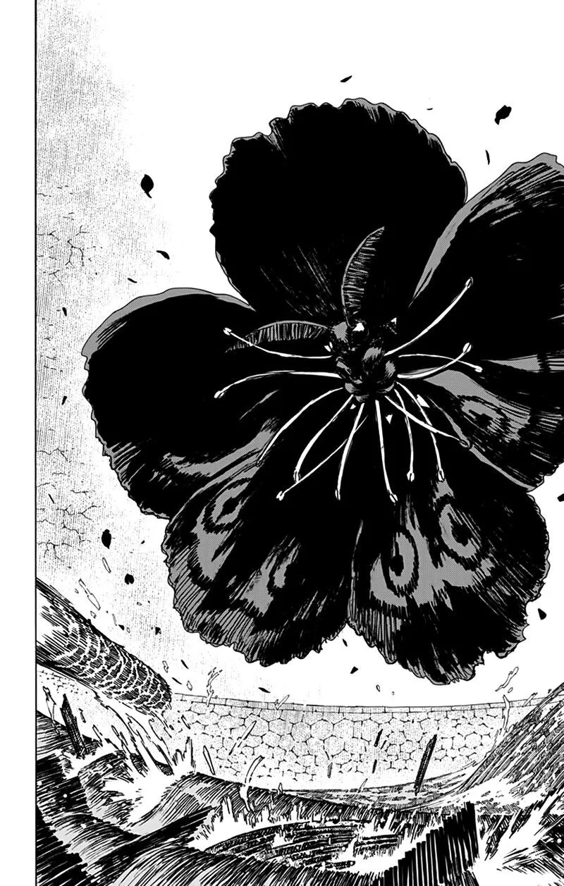 Chapter 113