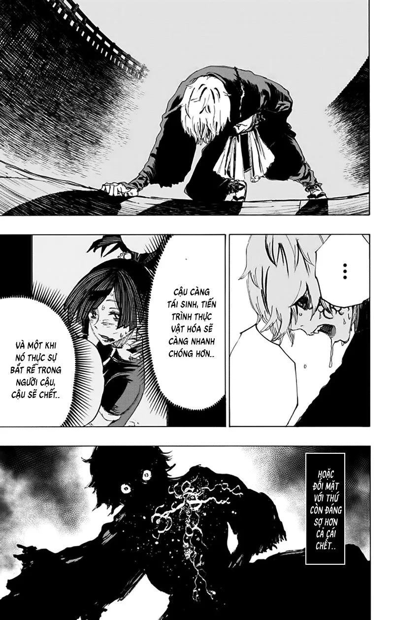 Chapter 71