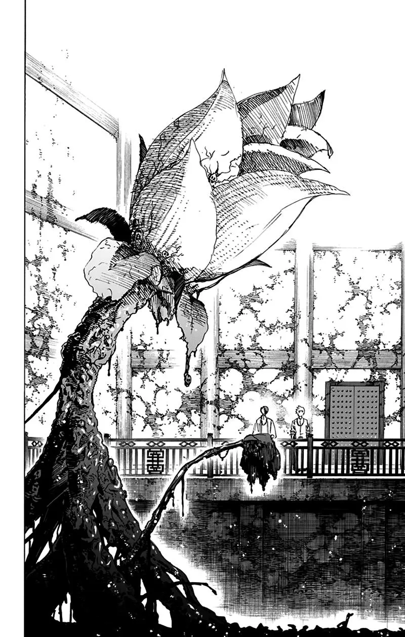 Chapter 61